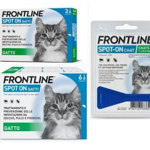 Frontline Combo spot-on gatti
