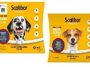Scalibor collare cane