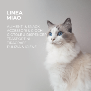 Linea Miao