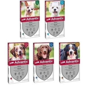 Advantix per cani (4 pipette)